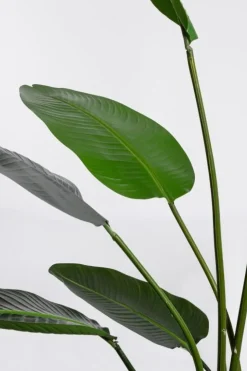 Piante Artificiali>Bizzotto PIANTA STRELITZIA C-VASO 13FOGLIE H185