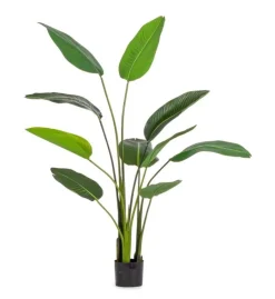 Piante Artificiali>Bizzotto PIANTA STRELITZIA C-VASO 10FOGLIE H150