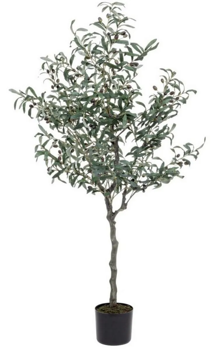Piante Artificiali>Bizzotto PIANTA ULIVO C-VASO 984FOGLIE H156