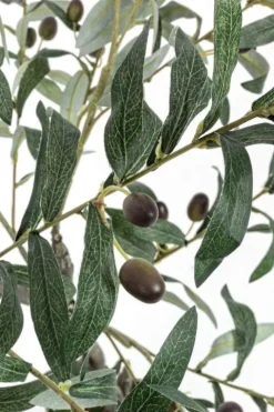 Piante Artificiali>Bizzotto PIANTA ULIVO C-VASO 492FOGLIE H120