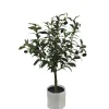 Piante Artificiali>Bizzotto PIANTA ULIVO C-VASO H65