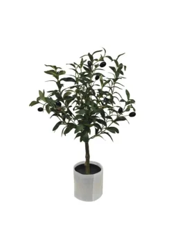 Piante Artificiali>Bizzotto PIANTA ULIVO C-VASO H65