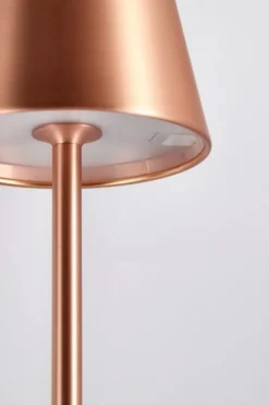 Illuminazione>Bizzotto PIANTANA LED ETNA BRONZO H115
