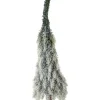 Alberi Decorativi>Bizzotto PINO MANSFIELD GHIACCIATO H50