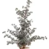 Alberi Decorativi>Bizzotto PINO SNEFFELS GHIACCIATO H90