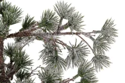 Alberi Decorativi>Bizzotto PINO SNEFFELS GHIACCIATO H90