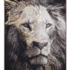 Quadri E Stampe>Bizzotto QUADRO C-C BOLD 906 82X122