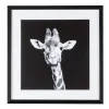 Quadri E Stampe>Bizzotto QUADRO C-C EVIDENCE 107 49X49