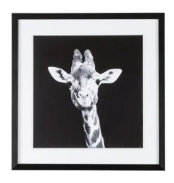 Quadri E Stampe>Bizzotto QUADRO C-C EVIDENCE 107 49X49