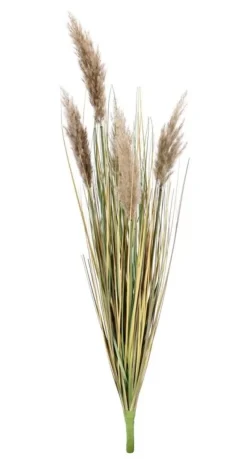 Rami E Corone>Bizzotto RAMO GYNERIUM PAMPAS H100