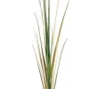 Rami E Corone>Bizzotto RAMO GYNERIUM PAMPAS H140
