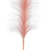Rami E Corone>Bizzotto RAMO INFINITY PIUME ROSA H90CM