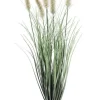 Rami E Corone>Bizzotto RAMO PENNISETUM H60