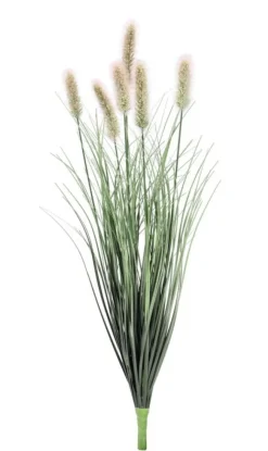 Rami E Corone>Bizzotto RAMO PENNISETUM H60