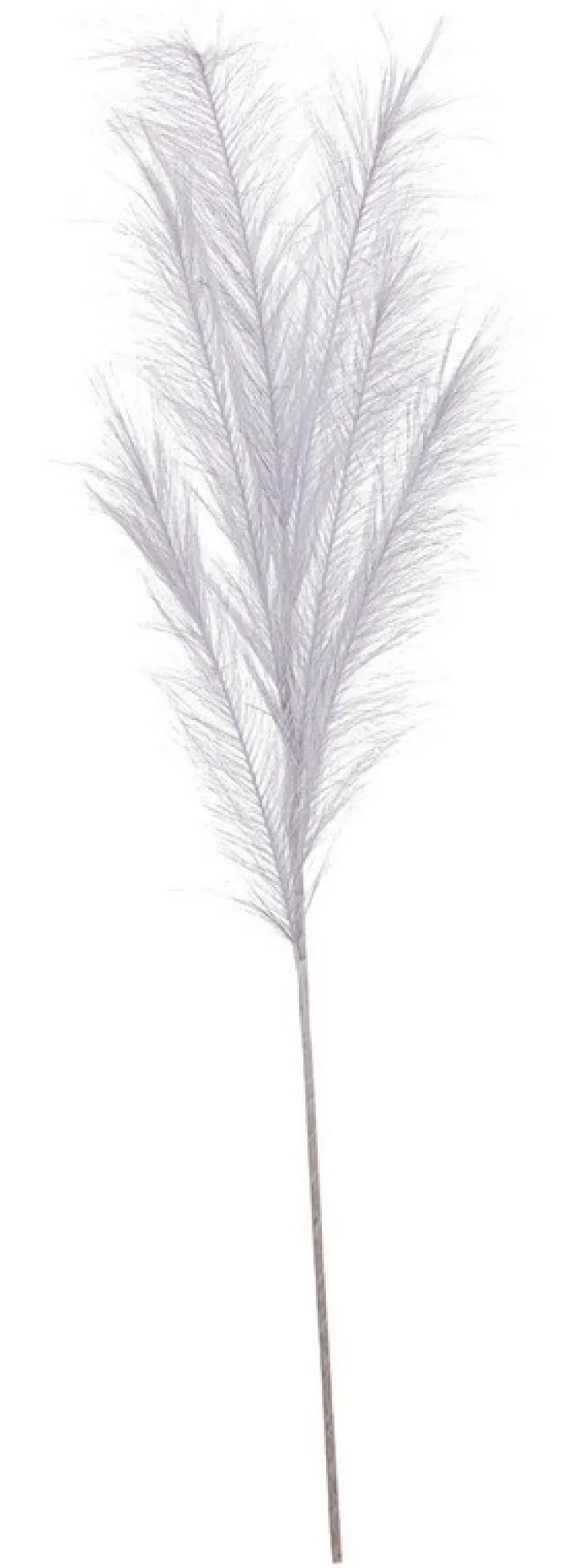 Rami E Corone>Bizzotto RAMO SHERILL PAMPAS BIANCO ARGENTO H100