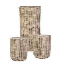 Ceste Decorative><noscript><img width=