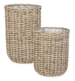 Ceste Decorative><noscript><img width=