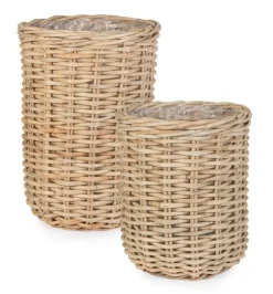 Ceste Decorative><noscript><img width=