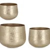 Coprivasi>Bizzotto SET3 P.VASO CLAMP TO ORO