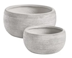 Vasi E Coprivasi><noscript><img width=