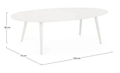Tavolini><noscript><img width=