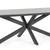 Tavoli>Bizzotto TAVOLO ISACCO 240X110 ANTR JX55