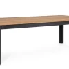 Tavoli>Bizzotto TAVOLO RODERICK 220X100